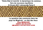 La question des communs dans les pays du Maghreb : un &eacute;tat des lieux