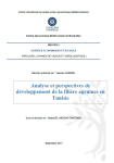 Analyse et perspectives de d&eacute;veloppement de la fili&egrave;re agrumes en Tunisie
