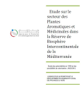 Etude sur le secteur des Plantes Aromatiques et M&eacute;dicinales dans la r&eacute;serve de biosph&egrave;re intercontinentale de la M&eacute;diterran&eacute;e