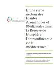 Etude sur le secteur des Plantes Aromatiques et M&eacute;dicinales dans la r&eacute;serve de biosph&egrave;re intercontinentale de la M&eacute;diterran&eacute;e