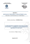 Le p&ocirc;le territorial de coop&eacute;ration &eacute;conomique du jardin du Gros-Morne [Martinique]