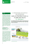 La responsabilit&eacute; soci&eacute;tale des entreprises. Quelles strat&eacute;gies pour la fili&egrave;re des fruits et l&eacute;gumes ?