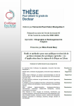 Outils et m&eacute;thodes pour une politique territoriale de gestion raisonn&eacute;e des pratiques agricoles : cas dapplication dans la r&eacute;gion de la B&eacute;qaa au Liban