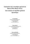 Evaluation de la strat&eacute;gie agricole du Maroc (Plan Maroc Vert)