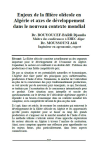 Enjeux de la fili&egrave;re ol&eacute;icole en Alg&eacute;rie et axes de d&eacute;veloppement dans le nouveau contexte mondial