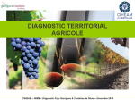 Diagnostic territorial agricole Pays Garrigues & Costi&egrave;res de N&icirc;mes