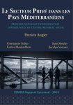 FEMISE Euromed report 2019 : le secteur priv&eacute; dans les pays m&eacute;diterran&eacute;ens