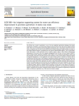LCIS DSS  An irrigation supporting system for water use efficiency improvement in precision agriculture: a maize case study