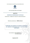 Am&eacute;lioration de la gestion de lentrep&ocirc;t et optimisation de lop&eacute;ration de groupage export : cas de la soci&eacute;t&eacute; VECTORYS