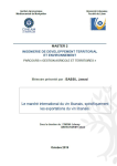 Le march&eacute; international du vin libanais, sp&eacute;cifiquement les exportations du vin libanais