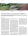 Rainwater harvesting  more than sound water management
