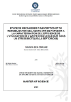 Etude de m&eacute;canismes dabsorption et de remobilisation de lazote afin de parvenir &agrave; la caract&eacute;risation de lefficience de lutilisation de lazote chez le bl&eacute; dur sous un stress biotique (la septoriose)