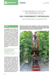 La responsabilit&eacute; soci&eacute;tale des entreprises de F&L - Des fondements th&eacute;oriques aux mesures concr&egrave;tes