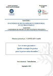 Les savanes guyanaises : quelles strat&eacute;gies de gestion pour la pr&eacute;servation du milieu ?