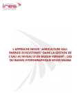 Lapproche NEXUS "Agriculture-Eau-Energie-Ecosystemes" dans la gestion de leau au niveau dun bassin versant : cas du bassin hydrographique Souss Massa