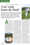 Fili&egrave;res courtes ma&icirc;tris&eacute;es - une vraie lame de fond