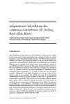 Adaptation et hybridation des communs en territoire A&iuml;t Oucheg, Haut Atlas, Maroc