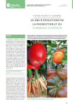 Fili&egrave;re fruits et l&eacute;gumes - 20 ans d'&eacute;volutions de la production et du commerce ext&eacute;rieur