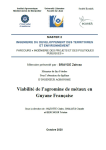 Viabilit&eacute; de lagromine de m&eacute;taux en Guyane Fran&ccedil;aise