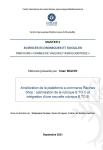 Am&eacute;lioration de la plateforme e-commerce Racines Shop : optimisation de la rubrique B to C et int&eacute;gration dune nouvelle rubrique B to B