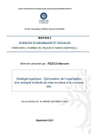Strat&eacute;gie logistique : optimisation de l'organisation d'un entrep&ocirc;t et &eacute;tude de mise en place d'un nouveau site