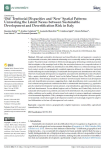 Old territorial disparities and new spatial patterns: unraveling the latent nexus between sustainable development and desertification risk in Italy
