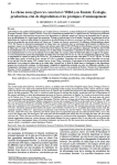 Le ch&ecirc;ne z&eacute;en (Quercus canariensis Willd.) en Tunisie : &eacute;cologie, production, &eacute;tat de d&eacute;gradation et les pratiques dam&eacute;nagement