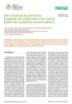 De lanimal au territoire, regards sur lefficience de lazote dans les syst&egrave;mes bovins laitiers