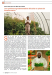 Les syst&egrave;mes agroalimentaires africains en phase de transformation