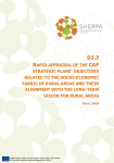 Rapid appraisal of the CAP strategic plans objectives related to the socio-economic fabric of rural areas and their alignment with the long-term vision for rural areas