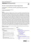 The socio-economic performance of agroecology. A review