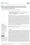 Physical and economic water productivity in agriculture between traditional and water-saving irrigation systems: a case study in southern Italy