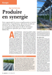 Agrivolta&iuml;sme : produire en synergie