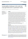 Sustainability challenges in the multi-tier crop agri-food sector: a systematic review