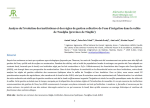 Analyse de l&eacute;volution des institutions et des r&egrave;gles de gestion collective de leau dirrigation dans la vall&eacute;e de Toudgha (province de Tinghir)