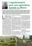 Lagroforesterie pour une agriculture durable au Maroc
