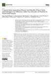 Conservation agriculture boosts soil health, wheat yield, and nitrogen use efficiency after two decades of practice in semi-arid Tunisia