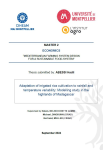 Adaptation of irrigated rice cultivation to rainfall and temperature variability: modelling study in the highlands of Madagascar