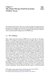 The water-energy-food-ecosystems (WEFE) nexus