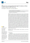 Climate crises and agricultural drought: evolutions in water scarcity context at the farm level