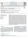 Multiscale assessment of drought spatiotemporal dynamics over the Mediterranean region: a case study of Morocco