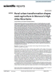 Rural-urban transformation shapes oasis agriculture in Morocco's High Atlas Mountains