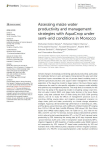 Assessing maize water productivity and management strategies with AquaCrop under semi-arid conditions in Morocco