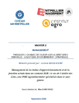 Management de la cha&icirc;ne d'approvisionnement et de la fonction achats dans un contexte B2B