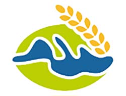 Med-Amin Network