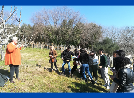 LAB4SUPPLY Project – First LIVING-LAB meeting on the development of the Fig sector in the Gard