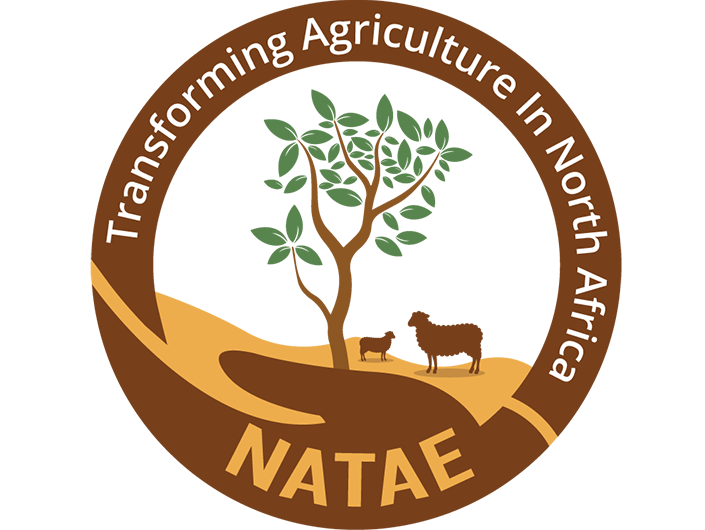 NATAE
