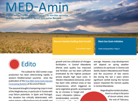 MED-Amin Newsletter #45
