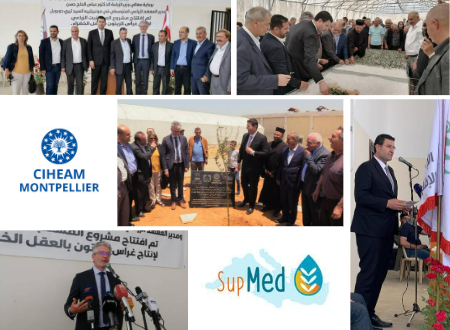 SupMed Project in Lebanon
