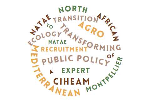 Vacancy: Recruitment of a Research Engineer in Agronomy NATAE